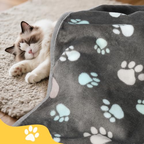 Premium Soft Dog Blanket Washable, 40x32 Inch | Flannel Gray Dog Blanket for Small and Medium Dogs and Indoor Cats