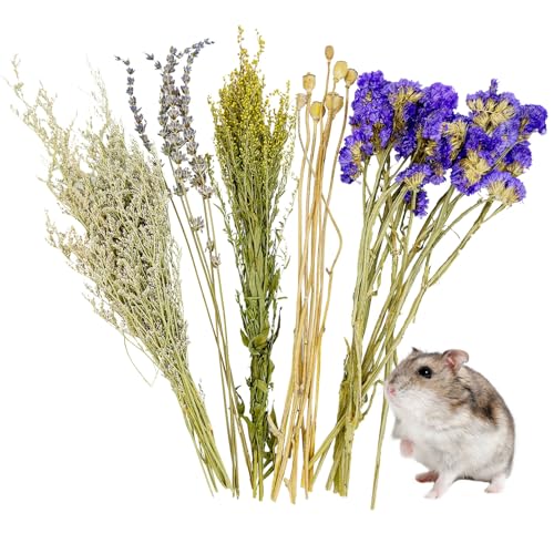 Fhiny Natural Hamster Bedding, Flower & Herb Hamster Bedding Mate Hamster Sprays Gerbil Habitat Decor Accessories for Dwarf Syrian Hamster Gerbil Mice Mouse Degus Lemming or Other Small Pets