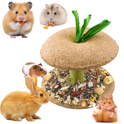 Hamster Chew Toys, Bunny Chew Bowl, Natural Chew Toys for Hamster, Rabbit, Guinea Pig, Chinchilla