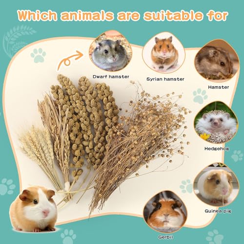 Hamster Spray Set - Natural Snack Grains & Chew Toys for Cage Decoration Accessories, Soft Bedding for Dwarf Syrian Hamsters, Gerbils, Mice & Small Pets - size: 4 Kinds of Grains