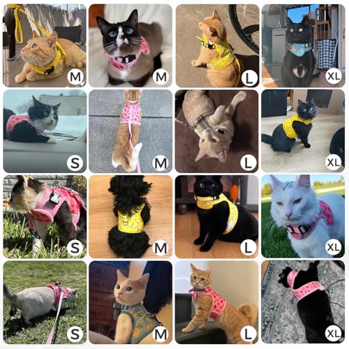 BINGPET Cat Harness and Leash Set, Escape Proof and Adjustable, Medium | Step-in Vest, Lightweight Soft Breathable Mesh, Hook & Loop, Easy Control for Small & Medium Cats Walking Travel - color: Pineapple, size: Medium