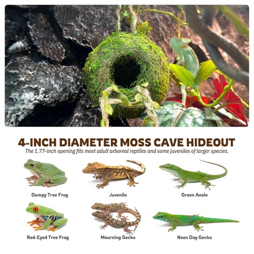 Moss Cave Hideout with Hanging Rope & Hemp Climbing Ladder – Natural Reptile Tank Decor Accessories for Crested Geckos, Chameleons, Tree Frogs, Leopard Geckos & Snakes. Terrarium & Vivarium Decor (4") - size: 4"