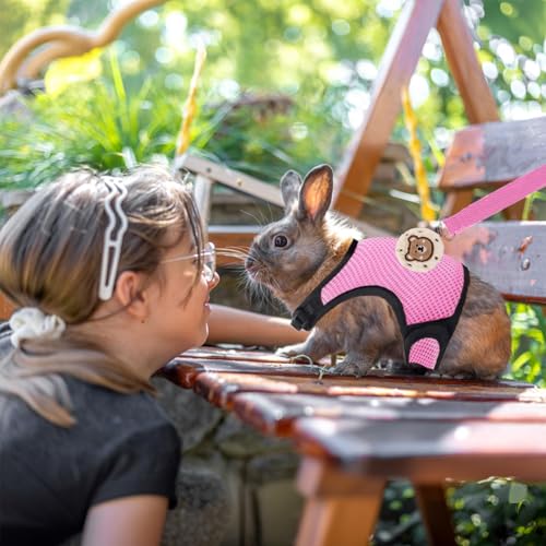 4-Pack Rabbit Harness and Leash Set, Rabbit Leash and Harness Set Escape Proof, Adjustable, with 2 Pendants, for Ferrets Pigs Puppies Small Animals Pets Outdoor Walking Supplies (Pink/Blue)