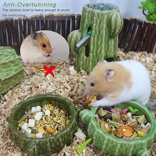 2 Pack Green Cactus Ceramic Hamster Food Bowl Anti-Tip Water Dish | Durable & Heavy Duty Ceramic Feeding Drinking Bowl for Gerbil Mouse Chinchilla Hedgehog Guinea Pig, Cute Desert Cactus Decor