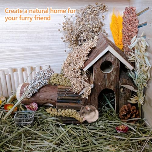 Natural Hamster Flower & Herb Habitat Deocr, Hamster Sprays Herbs Bedding Mate, Hamsters Cage Enrichment Decoration Accessories for Gerbil Dwarf Syrian Hamsters Guinea Pig Mice or Small Animals