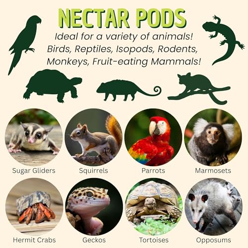 Nectar Pods (Mango) - Calcium-Fortified Jelly Fruit Treat - Sugar Gliders, Marmosets, Squirrels, Parrots, Cockatiels, Parakeets, Lovebirds, Conures, Hamsters, Day Geckos, Kinkajous & Other Small Pets