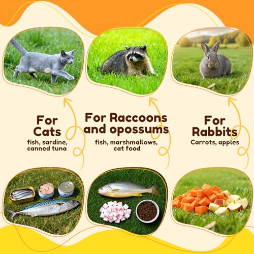 32" Heavy-Duty Folding Live Animal Trap Cage | Animal Trap Cage for Stray Cats,Raccoons,Armadillos and Rabbits