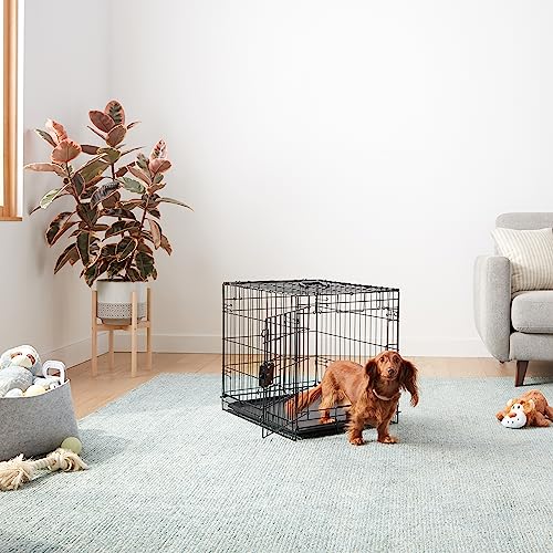 Amazon Basics Portable, Foldable Metal Wire Small Dog Crate with Removable Tray, Divider Panel, Single Door, Easy to Assemble, 24" x 18" x 20", Black - size: 24 x 18 x 20 in, style: Single Door w/ Divider