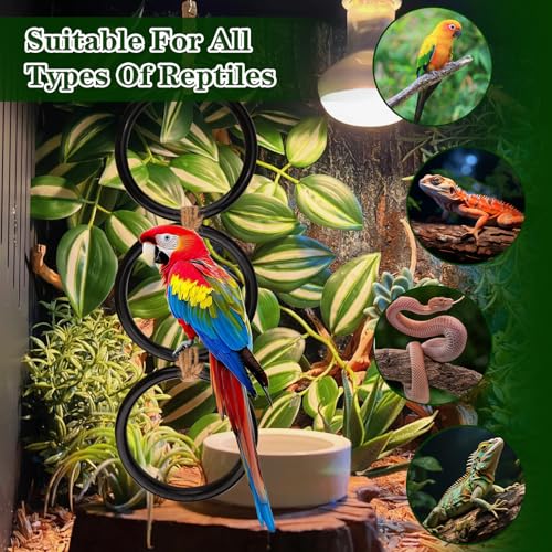 Snake Climbing Rings and 2PCS Hammock for Ball Python, Enrichment Toys for Snake, Reptiletank Cage Decor Habitat Accessories, Fun Exercise and Resting Toy for Chameleon, Gecko, Lizard, Parrot