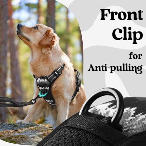 rabbitgoo Dog Harness Small Sized, Updated Easy On & Off with 3 Buckles | No Pull No Choke, Walking with 2 Clips and Handle, Adjustable Soft Reflective, Mountain Black, Small - color: Mountain Black, size: Small