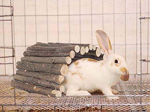 PINVNBY Guinea Pig Wooden Ladder Bridge (20 x 11.8 in) Rabbits Hideout, House, Tunnel, Rodents Chew Toys for Bunny, Chinchillas, Hedgehogs, Ferrets, Rat and Small Animals-Extra Large - size: 1 PCS, L ( 20 X 11.8 inches )