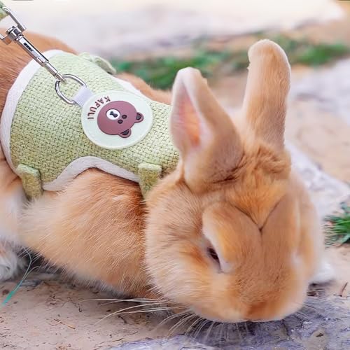 Rabbit Harness and Leash Set 2 Pieces Adjustable Bunny Harness Leash Ferret Harness Guinea Pig Harness Ferret Leash for Small Pets Walking Outdoor (Green, Small) - color: Green