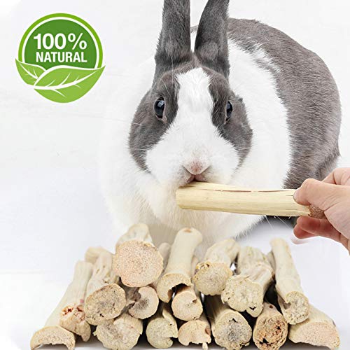 BWOGUE 100g Pet Snacks, Bamboo Chews for Rabbits, Sweet Bamboo Chew Sticks | About10-14 Sticks, 3.94 in Bamboo Sticks for Rabbits, Rabbit Chew Toys, Squirrels, Guinea Pigs, Chinchillas & Hamsters - size: 1 Count (Pack of 1)