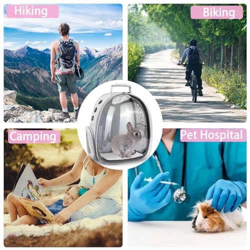 Rabbit Carrier Small Pet Carrier with Bunny Harness and Leash | Large Bunny Carrier Clear Bubble Window Small Animal Carrier for Guinea Pig Ferret Hedgehog Squirrel Kitten Travel Walking - color: Rabbit Carrier Backpack