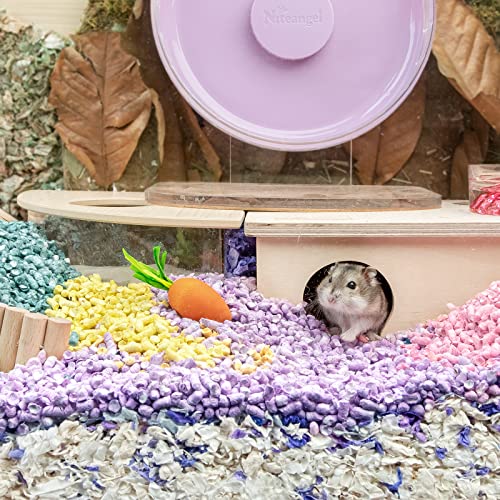 Niteangel Hamster Chew & Decor Toys: Pack of 6 Carrot-Shape & Beech Wood | Chew-Friendly Design to Control Tooth Overgrowth for Syrian Dwarf Hamster Gerbils Mice Lemming Degu or Other Small-Sized Pets - size: Carrot-Shape