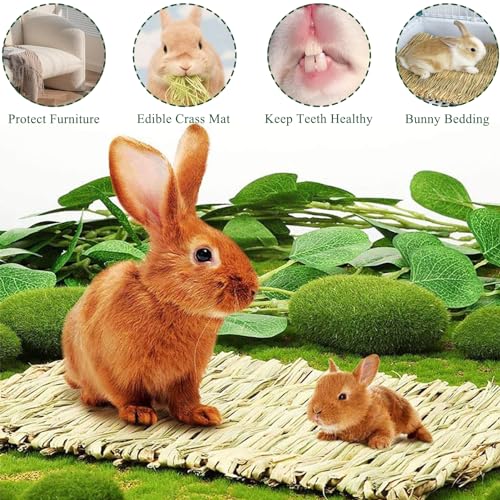 2 PCS Rabbit Grass Mats, Natural Straw Hay Woven Rabbit Bed Cage Mats Pet Handmade Bedding, Sleeping Chewing Nesting and Toys for Hamster Bunny Chinchilla Bird and Other Small Animal (2Pcs)