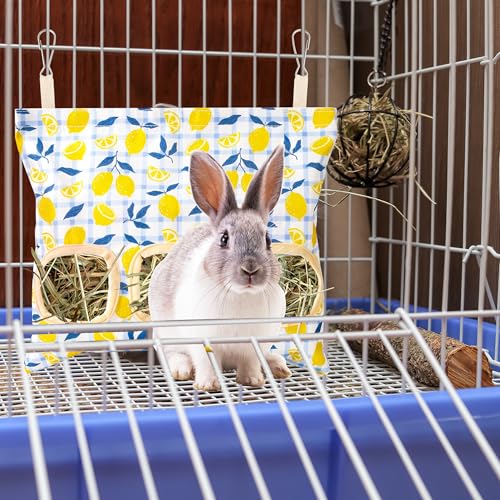 Lesnala 2 Pcs Canvas Hanging Bunny Hay Feeder Bags 3 Holes 2 Styles | Rabbit hay feeder Bag, Guinea Pig Hay Bag, Large Capacity Cotton Canvas Fabric, for Chinchillas Hamsters & Other Small Pets - color: Fruit pattern