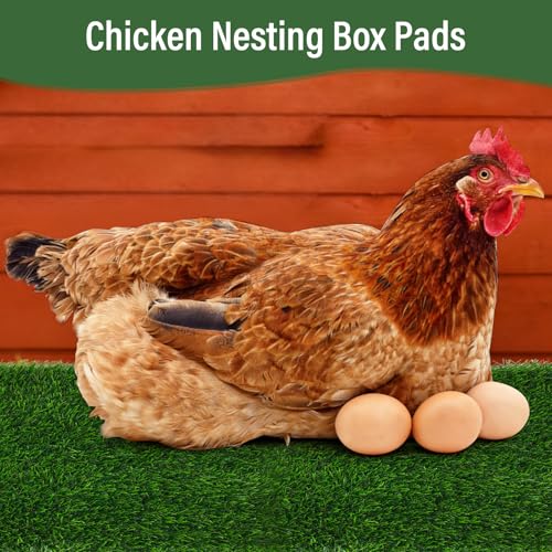 6 PCS Chicken Nesting Pads 12''x12''washable nesting pads for chicken coop | Artificial Grass Box Liners for Laying Eggs Green and Light Brown Chicken Bedding for Nesting Box Pets Garden Indoor Outdoor - size: 6 PCS