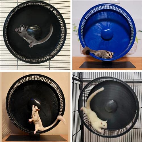Silent Runner Pro | Sugar Glider Exercise Wheel (Blue with Stand) - color: Blue with Stand