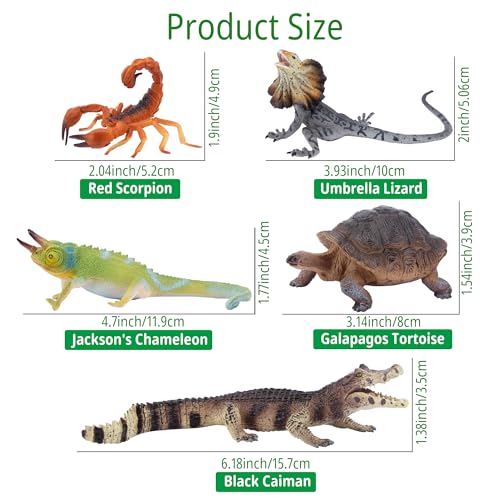 Toymany Reptile Animal Figurine Toys Set, 12 PCS Halloween Desert Amphibians Animal Figures with Komodo Dragon Lizard Snake Chameleon Rainforest Cold Blooded Animals Figures Party Favor for Kids - style: Reptile Animal Figurine