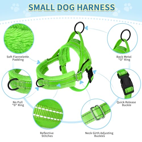 SlowTon No Pull Small Dog Harness and Leash Set with Front Clip | Soft Padded, Neck & Chest Adjustable, Lightweight, Anti-Twist, Puppy Vest Harness Pet Lead Combo for Small Medium Dog, G XXS - color: Green, size: XX-Small