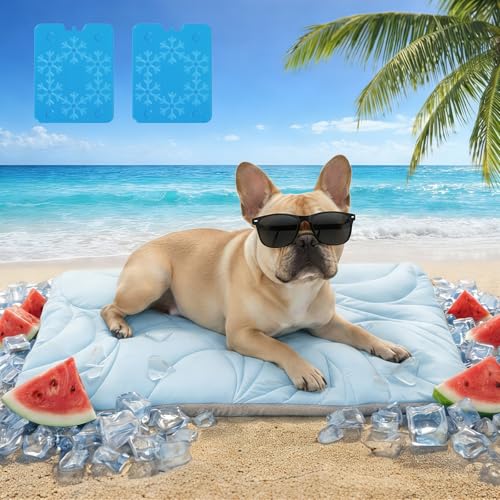 Dog Cooling Mat 5.0 Version Built-in Ice Pack, Long-Lasting Cool | 6–8h Cooling, Ultra Thick Soft Vine Pattern Pet Cooling Mat, Washable Foldable Large Cooling Pad for Indoor, 30" x 20" - color: Baby Blue, size: Medium