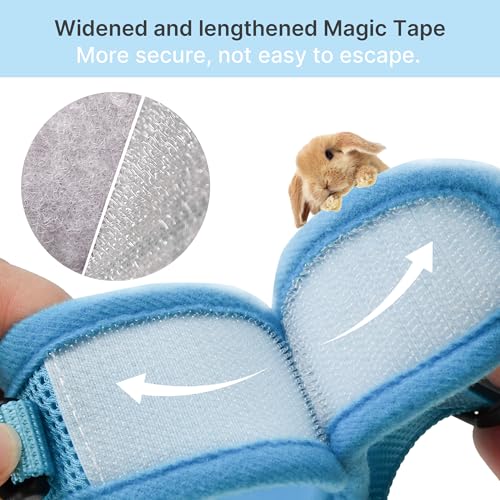 Adjustable Rabbit Harness and Leash Set Escape Proof, Blue M | Padded Vest with Magic Tape Design, Indoor/Outdoor Use (Training, Hiking) - Fits Hamsters, Rats, Iguanas, Puppies, Cats