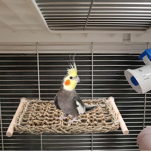Bird Cage Ladder Perch, Seagrass Woven Ladder Hammock Exercise Stands Parakeet Climbing Chewing Bridge for Parrots Lovebirds Cockatiels Conures Budgies, Bird Cage Accessories