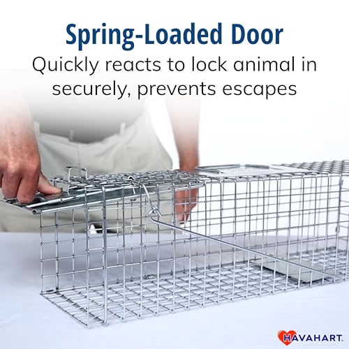 Havahart Medium 1-Door Live Animal Trap, Galvanized Steel Cage | Humane Catch and Release for Rabbit, Skunk, Mink, and Squirrel, Spring-Loaded Door, 1078SR
