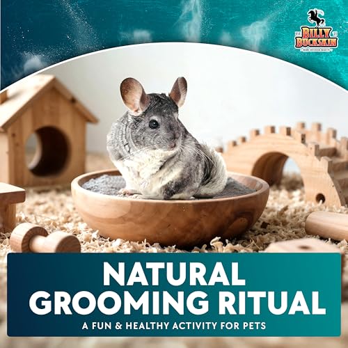 6 LB. Chinchilla Dust Bath Jar - Pure Cleansing Pumice Sand Dust for Cleaning Small Pets Like Gerbils, Mice, Degu - Premium, All Natural Dusting Powder - Chinchilla Accessories by Billy Buckskin - size: 6 Lb.