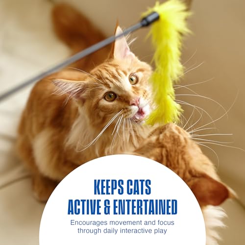 Penn-Plax Play Fur Mice Cat Toys, 12 Pack - Soft Polyester with Rattling Sound for Interactive Play, Exercise & Hunting - Lightweight Cat Toy Set for All Ages & Breeds - Black, White & Gray - 2 Inches