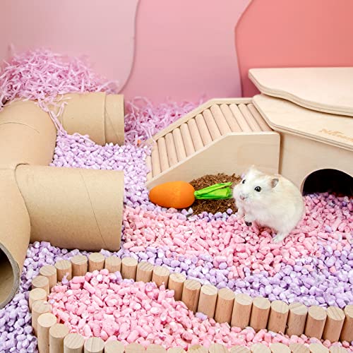 Niteangel Hamster Chew & Decor Toys: Pack of 6 Carrot-Shape & Beech Wood | Chew-Friendly Design to Control Tooth Overgrowth for Syrian Dwarf Hamster Gerbils Mice Lemming Degu or Other Small-Sized Pets - size: Carrot-Shape
