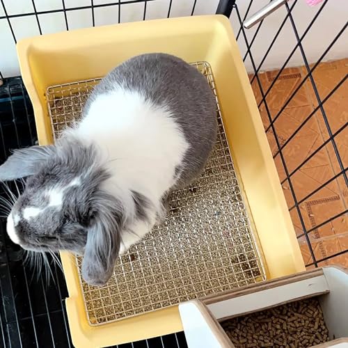 Litter Box Rabbit, Bunny Potty Pan, 1cm Steel Grate with Tray | 39 x 29 x 12 cm box with 1 cm steel mesh keeps paws above waste; removable tray lifts out for quick daily cleaning - color: Orange