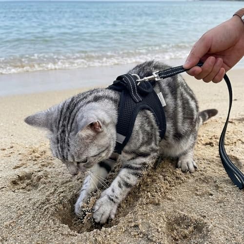 Cat Harness and Leash Escape Proof, Soft Breathable Mesh Kitty Walking Vest, Adjustable Step-in Kitten Harness Set with Reflective Strip for Small Cats - color: Black, size: Small