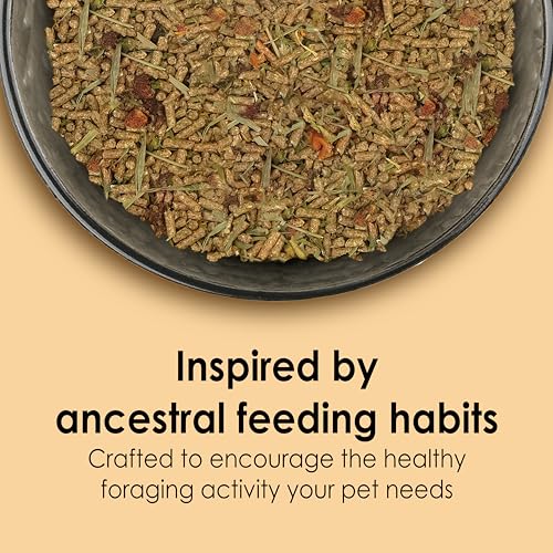 Kaytee Food from the Wild Chinchilla (Chinchilla Food), 3 Pounds | Pet food for gut health. High-fiber pellets. Timothy hay, natural probiotics, no added sugar - size: 3 Pound (Pack of 1)