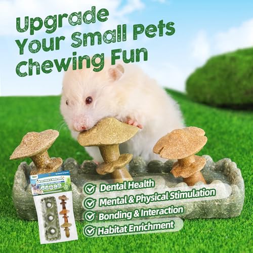 TEEWY Guinea Pig Chew Toys, Prevent Teeth Overgrowth, Natural Timothy Grass & Vegetables, Hamster Chew Toys, Guinea Pig Toys, Chinchilla Toys, 4PCS, Grass Patch & Mushrooms - style: 4PCS-Grass Patch & Mushrooms