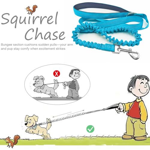 5FT Bungee Dog Leash Shock Absorbing Reflective Nylon Lead 2cm Wide | Soft Handle- Lightweight- Anti-Pull Training for Small/ Medium Dogs- 6 Colors - color: Teal