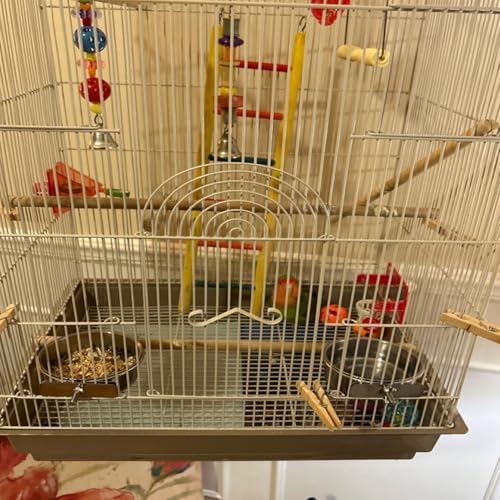 kathson Parrot Feeding Dish Cups,Stainless Steel Bird Food Water Bowl Parakeet Feeder Birds Cage Ball Toys with Clamp Holder for Cockatiel Macaw Budgies Small Animal Chinchilla (7 Pcs) - size: 【M:4.7x2.2 Inches】