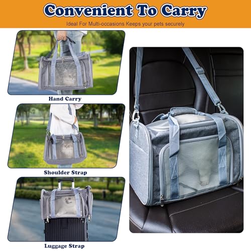 Soft-Sided Cat/Dog Carrier, Car Travel Pet Carrier Up to 16LB with Backpack Straps & Removable Washable Pad, Collapsible Mesh Puppy Carry Bag for Small Animals, Gray - color: Grey