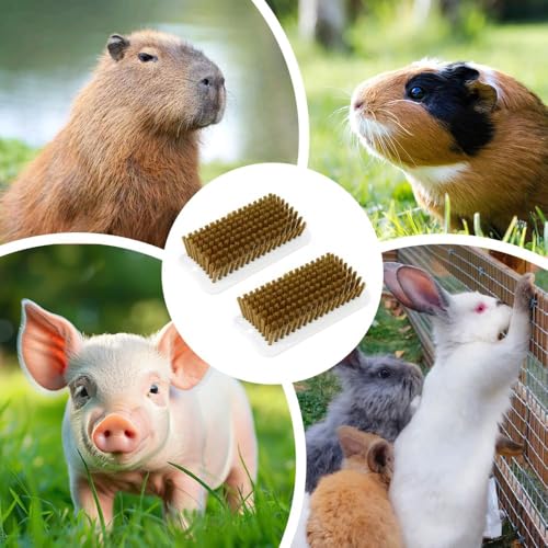 2PCS Anti-slip Pet Grooming Shedding Brush Cleaning Slicker Brushes with Dual Hanging Holes for Pens
