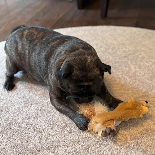 SPOT Skinneeez Fox – 14" Stuffing-Free Plush Squeaky Dog Toy for Small & Medium Dogs, Best for Light to Moderate Chewers, Mess-Free Play - style: Mini Fox
