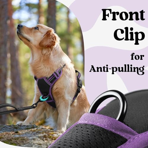 rabbitgoo Dog Harness Small Sized, Updated Easy On & Off with 3 Buckles | No Pull No Choke, Walking with 2 Clips and Handle, Adjustable Soft Reflective, Black & Purple, Small - color: Black & Purple, size: Small