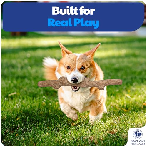 American Kennel Club Training Dog Chew Toy, TPR Wood Stick Dog Toy, Durable Dog Toy for Moderate Chewers, Maplewood Scented for Long-Lasting Engagement, Supports Dental Health - size: Stick