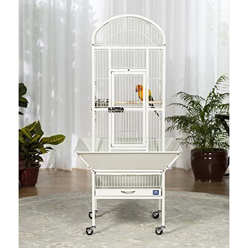 Prevue Pet Products Dome Top Bird Cage with Push Button Locks - Chalk White | Powder‑Coated Steel Cage with Wheels, Seed Guards, and Perch, Ideal for Cockatiels and All Small-Medium Sized Birds