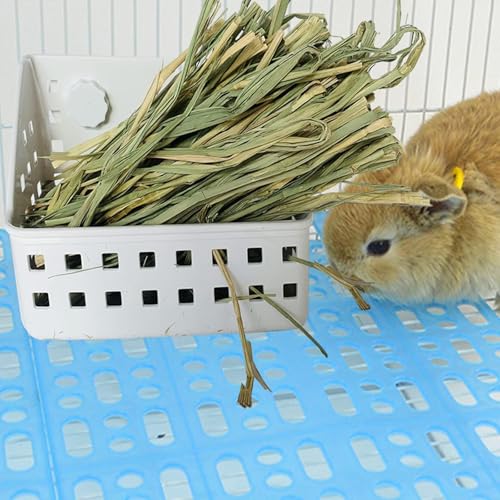 kathson Hay Feeder for Rabbit, Bunny Hay Holder Guinea Pig Hay Feeder Plastic Hay Rack for Rabbits Small Animal Chinchilla Ferret (7.5 X 4.7 X 5.5 inch) - size: 7.5 X 4.7 X 5.5 inches, 1 Piece
