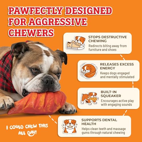 Baba Buddies 5-in-1 Turkey Leg Dog Chew Toy for Aggressive Chewers | Natural rubber & tough nylon hybrid, dental cleaning ridges, real turkey flavor. For Labrador, German Shepherd, Pit Bull