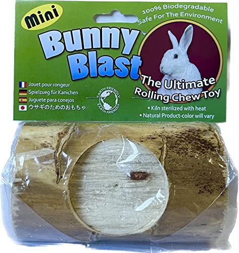 BIRD KABOB Bunny Blast Mini Yucca Chew Toy