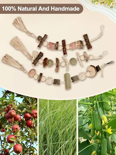 6PCS Hanging Bunny Chew Toys, Natural Apple Wood Rabbit Chews | Teeth Grinding & Dental Health, Small Animal Wooden Cage Toy for Guinea Pigs, Hamsters, Chinchillas, Ferrets, Rats, Gerbils