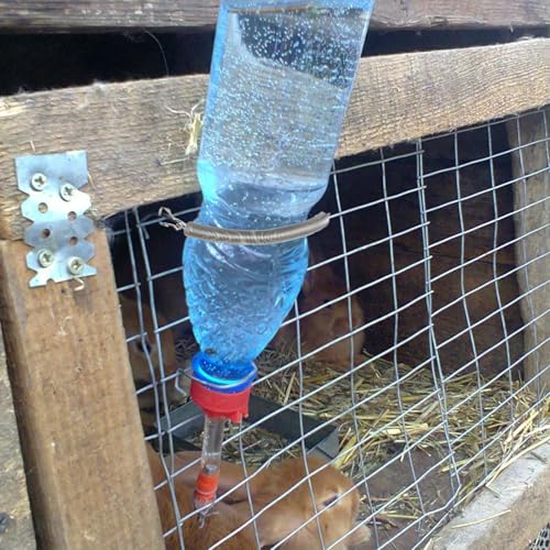 10 Pcs Guinea Pig Water Bottle Holder - Stainless Steel Spring Clips - Drinking Dispenser Fastener for Small Pets, Rabbits, Guinea Pigs, Hamsters