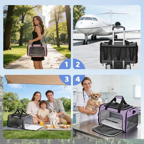 Pet Carrier for Cats & Small Dogs, Travel Carrier with Anti-Collapse Support, Chew Resistant Buckles, Luggage Sleeve, Multi-Pocket Storage, Reversible Mat & Bowl (Blue, Medium (17.5"x11"x11.5")) - color: Blue
